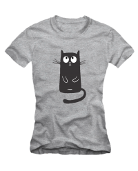 Black cat